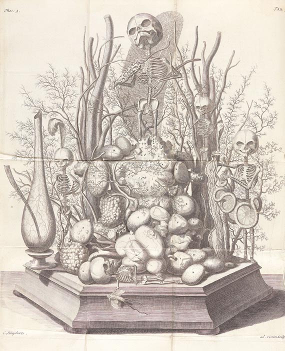 Frederick Ruysch - Thesaurus animalium, 1710 + Thesaurus anatomicus, 1704