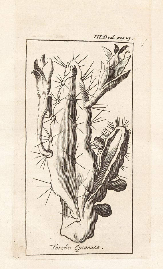 Jean Baptiste Labat - Nieuwe Reisen, 4 in 2 Bdn. 1725 - Altre immagini