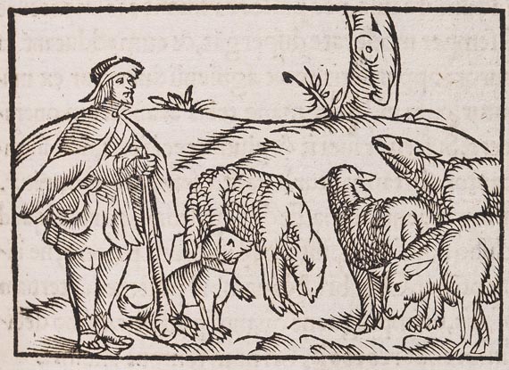 Petrus de Crescenzi - De omnibus agriculturae (1548) - Altre immagini