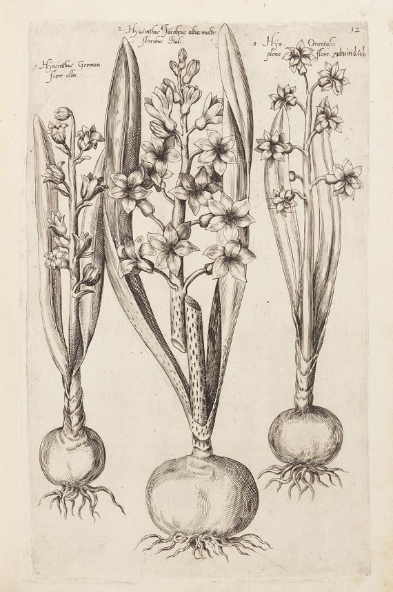 Emanuel Sweertius - Florilegium. 1612 - Altre immagini