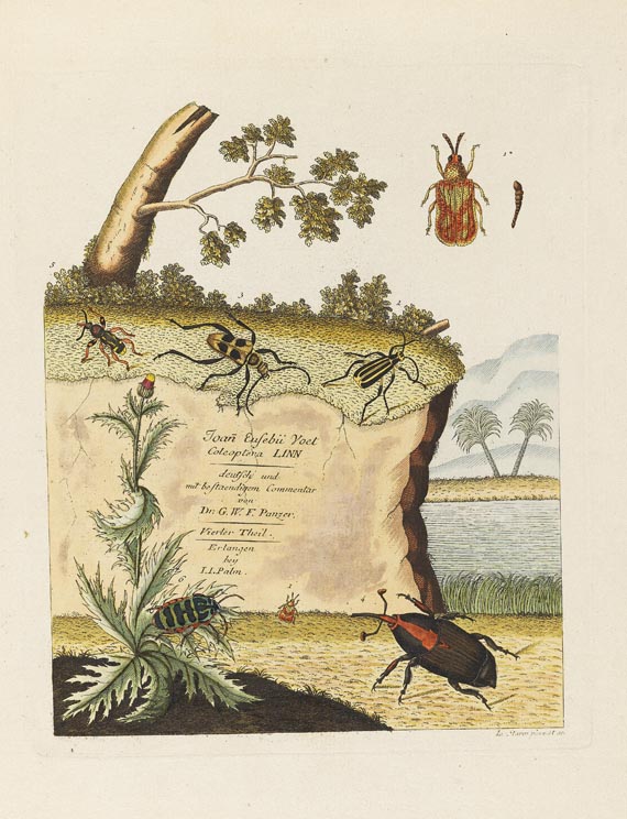 Johann Euseb Voet - Beschreibungen und Abbildungen hartschaalichter Insekten. 5 Bde. 1793-1802. - Altre immagini