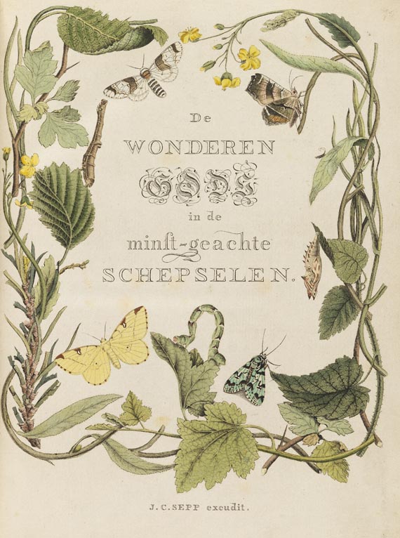 Jan Christiaan Sepp - Nederlandsche Insecten. 8 Bde. 1762-1860 - Altre immagini