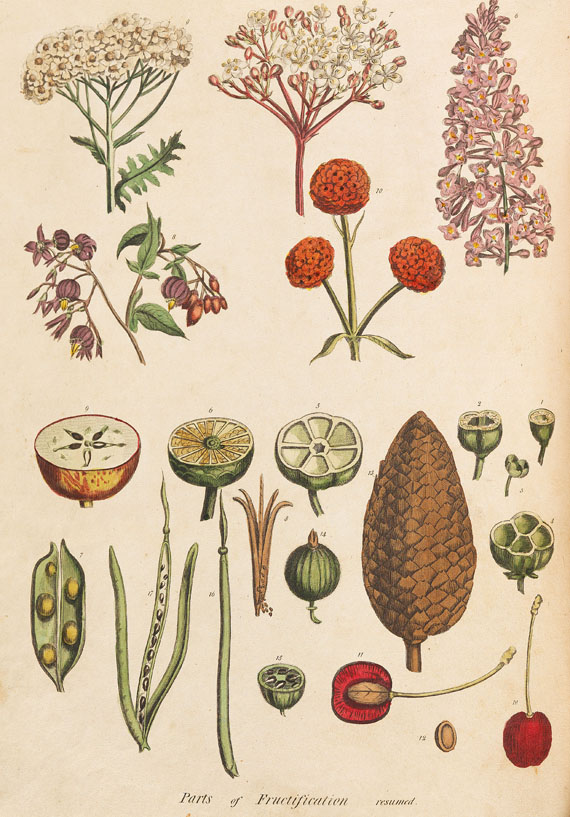 Thomas Green - Universal herbal. 2 Bde. 1824