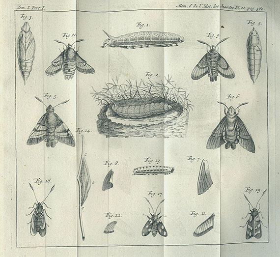 René Antoine F. de Réaumur - Histoire des Insectes. 11 Bde. 1737ff.
