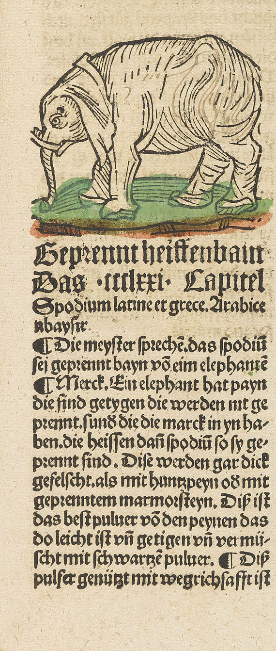 Gart der Gesundheit - Herbarius zu teütsch. 1502.
