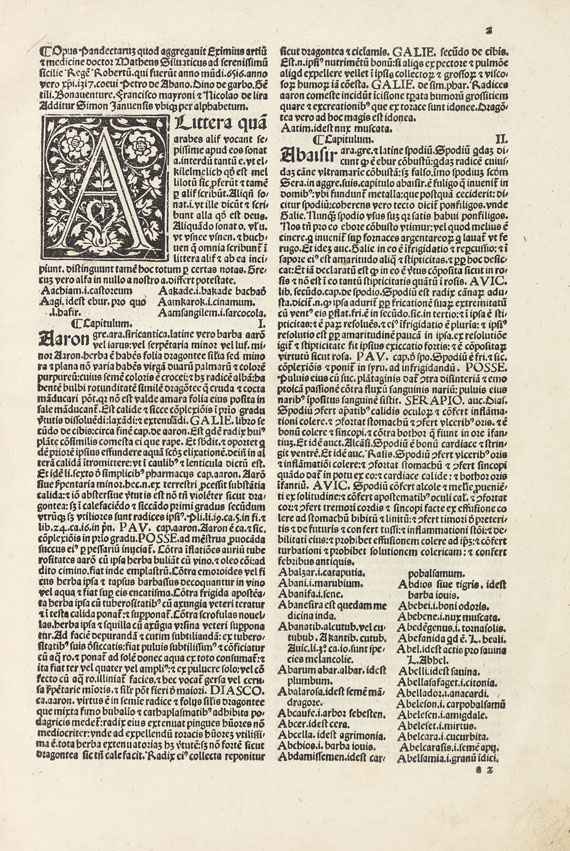 Matthaeus Silvaticus - Pandectae medicinae. 1498.