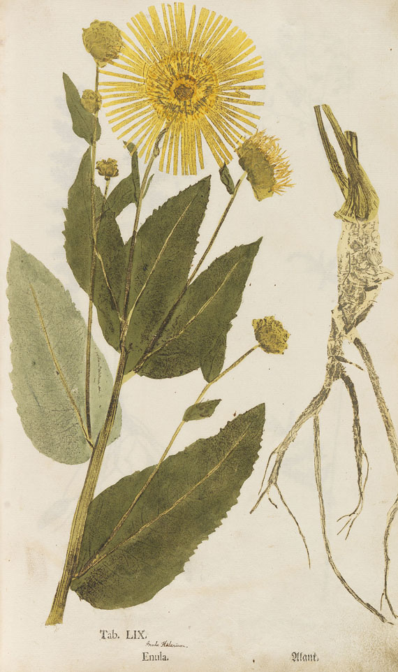Christian Gottlieb Ludwig - Ectypa vegetabilium. 1760. - Altre immagini