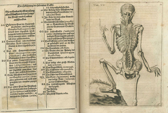 Guilio Casserio - Anatomische Tafeln. 1656