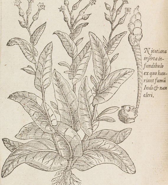 Matthias de Lobel - Plantarum seu stirpium historia. 2 Tle. in 1 Bde. 1576 - Altre immagini
