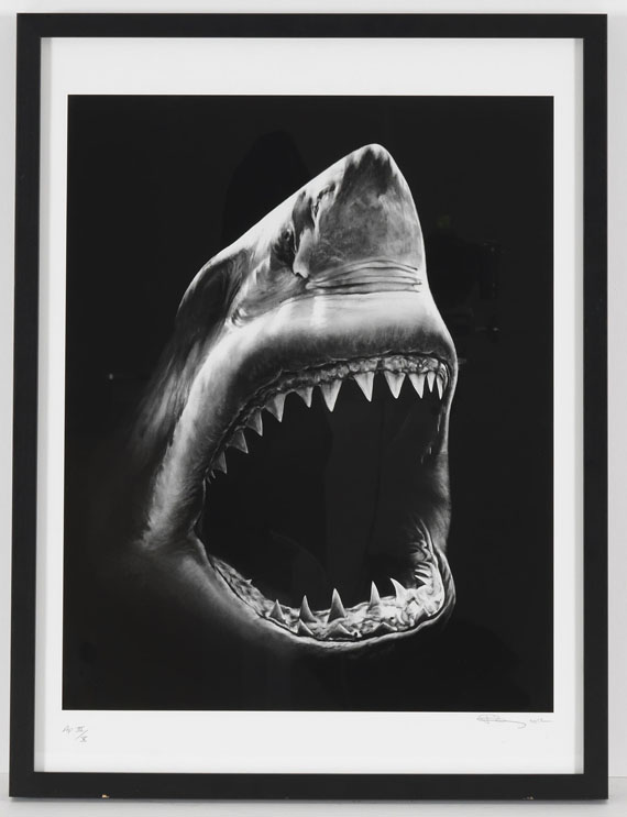 Robert Longo - Shark 5 - Cornice