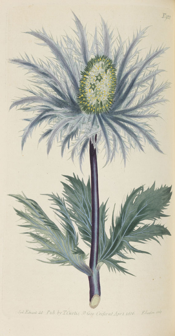 William Curtis - Botanical Magazine, Bd 1 - 53. 40 Bde. - Altre immagini
