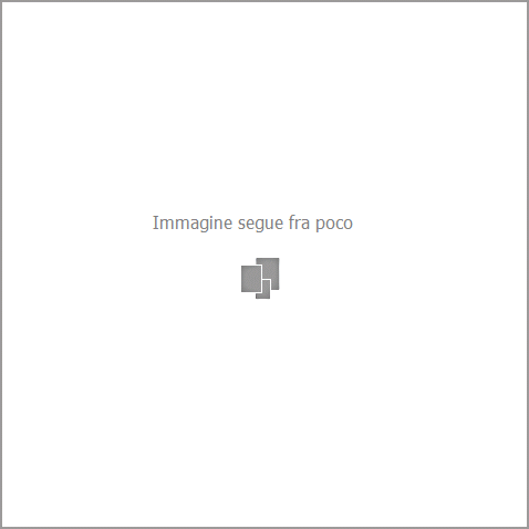 immagine segue fra poco