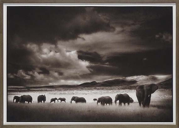 Nick Brandt - Elephant Herd, Serengeti - Cornice