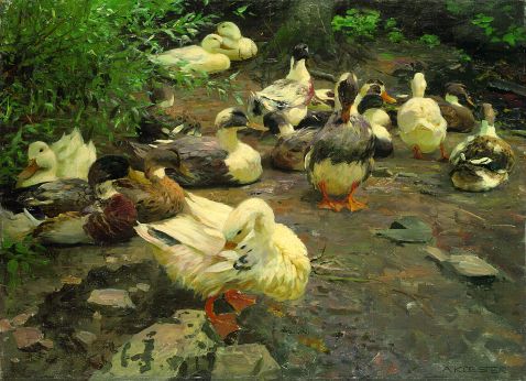 Alexander Koester - Enten am Lagerplatz