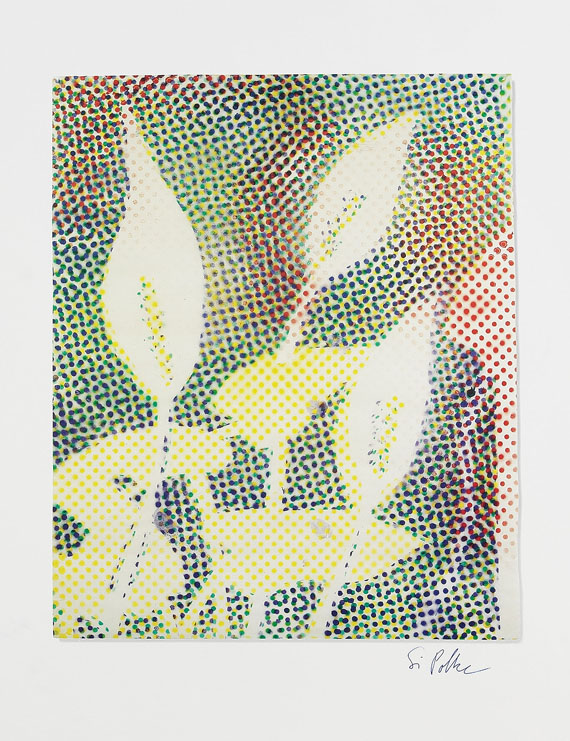 Sigmar Polke - Calla