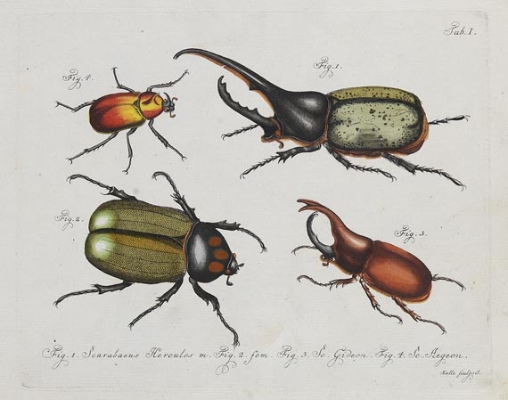 Carl Gustav Jablonsky - Natursystem Insekten. 1785