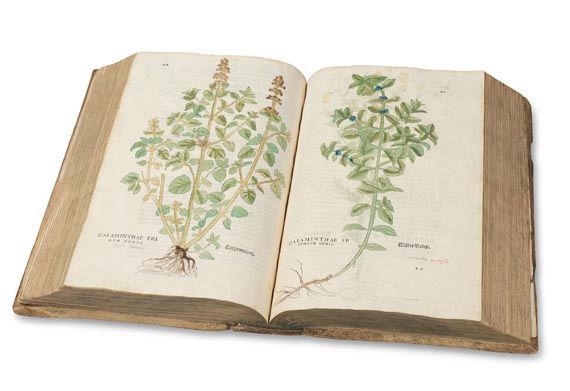 Leonhart Fuchs - De Historia stirpium. 1542. - Altre immagini