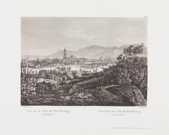 Joh. Ludwig Bleuler - Mal. Reise von Freiburg.