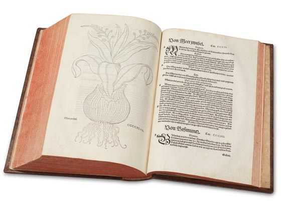 Leonhart Fuchs - New Kreüterbuch. 1543 - Altre immagini