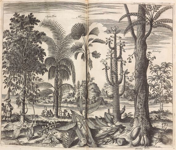 John Nieuhof - A Collection of Voyages and Travels. 1704 - Altre immagini