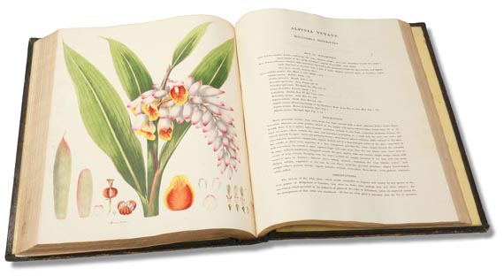 William Roscoe - Monandrian Plants, 1828. - Altre immagini