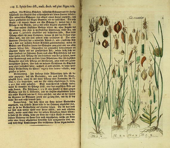 Christian Schkur - Riedgräser 1801
