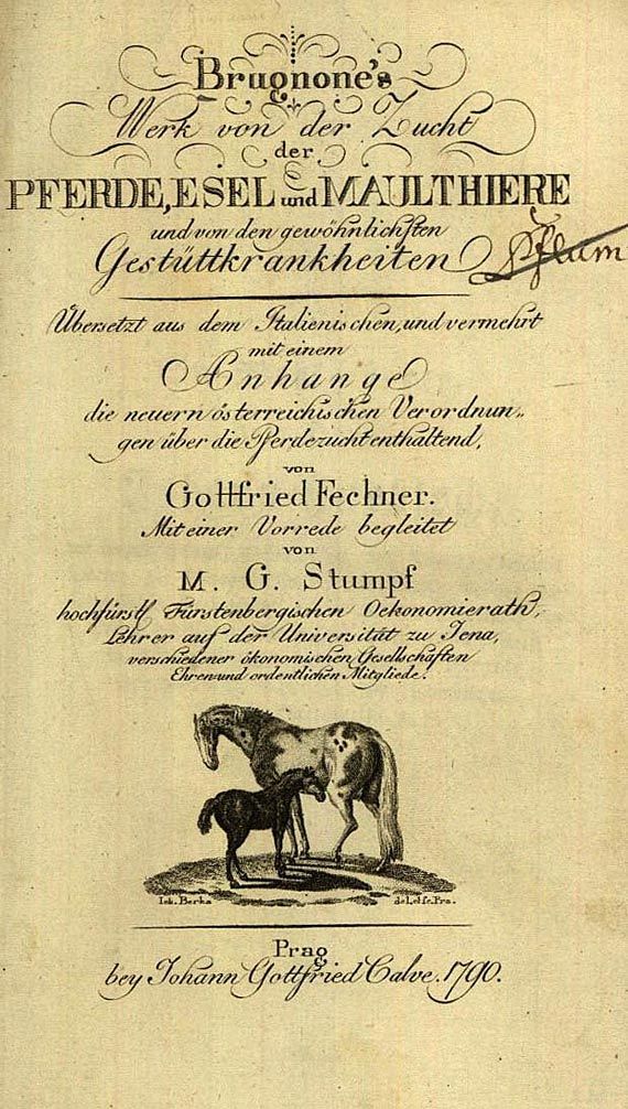 Pferde - Brugnone, Giovanni, Pferde, Esel und Maulthiere (1790) + Reh-Krankheit (1768) + Pferdezucht (1769). Zus. 3 Bde.