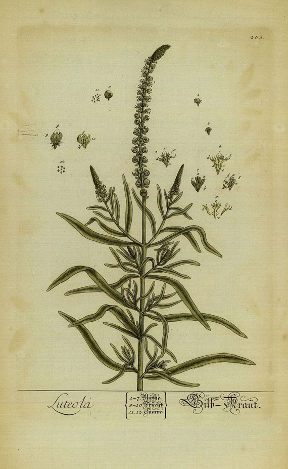  Blumen und Pflanzen - Blackwell, E., Pflanzen, 29 Bll.