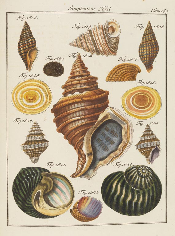 Friedrich Heinrich Wilhelm Martini - Conchylien-Cabinet. 1769-1829. 12 Bde. - Altre immagini