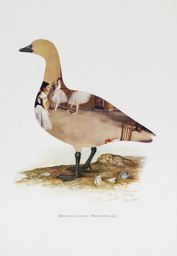 Jirí Kolár - Ohne Titel (Vögel) - Altre immagini