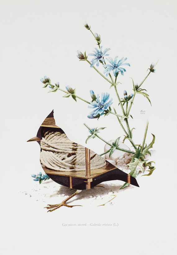 Jirí Kolár - Ohne Titel (Vögel) - Altre immagini