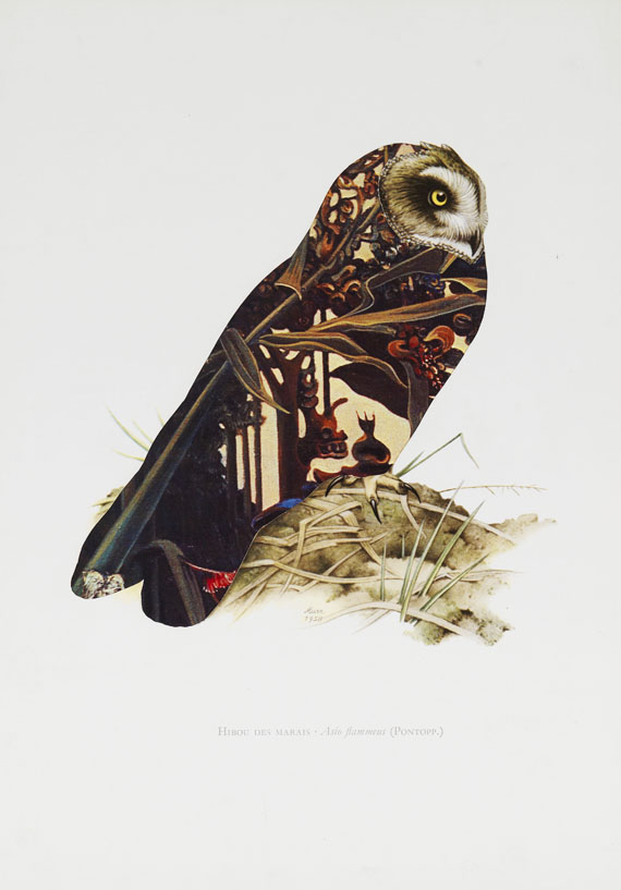 Jirí Kolár - Ohne Titel (Vögel) - Altre immagini