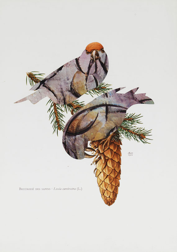 Jirí Kolár - Ohne Titel (Vögel) - Altre immagini