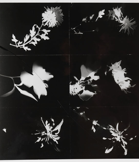 László Moholy-Nagy - László Moholy-Nagy. Vierzehn Fotos - Altre immagini
