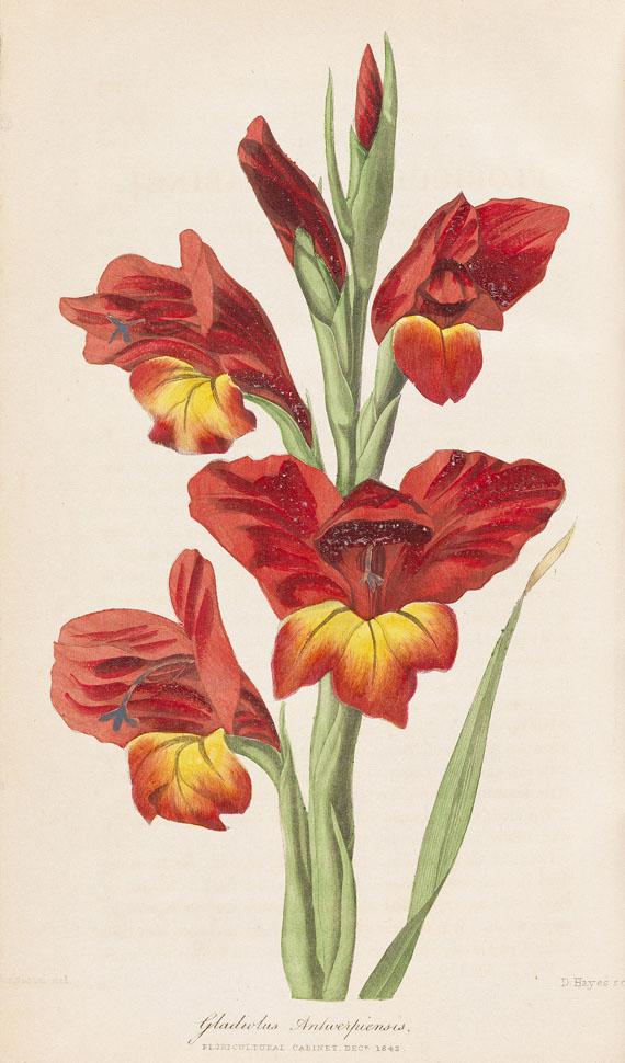 Floricultural cabinet, The - Floricultural Cabinet. 20 Bde. 1833.