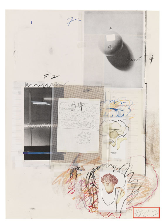 Cy Twombly - Natural History Part I, Mushrooms - Altre immagini