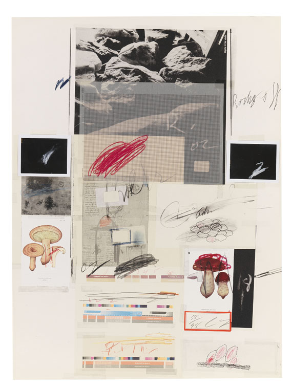Cy Twombly - Natural History Part I, Mushrooms - Altre immagini