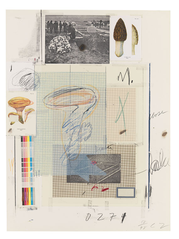 Cy Twombly - Natural History Part I, Mushrooms - Altre immagini