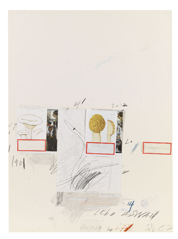 Cy Twombly - Natural History Part I, Mushrooms - Altre immagini