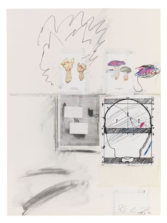 Cy Twombly - Natural History Part I, Mushrooms - Altre immagini