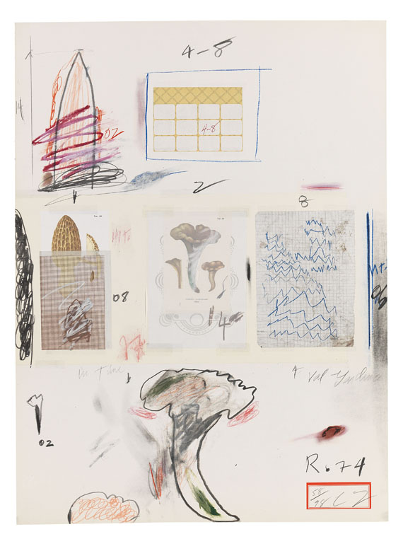 Cy Twombly - Natural History Part I, Mushrooms - Altre immagini