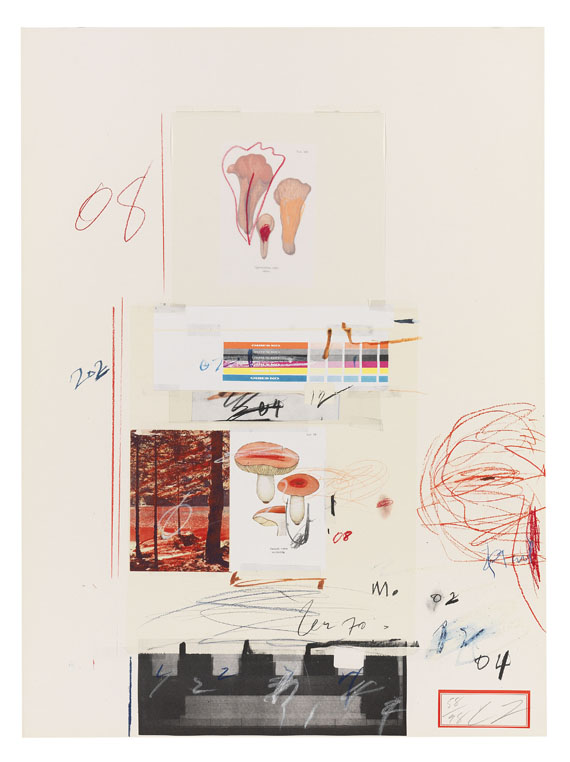 Cy Twombly - Natural History Part I, Mushrooms - Altre immagini