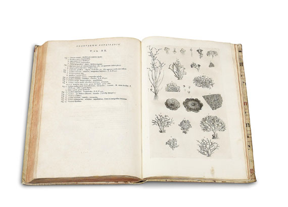 Sebastien Vaillant - Botanicon parisiense. 1727. - Altre immagini
