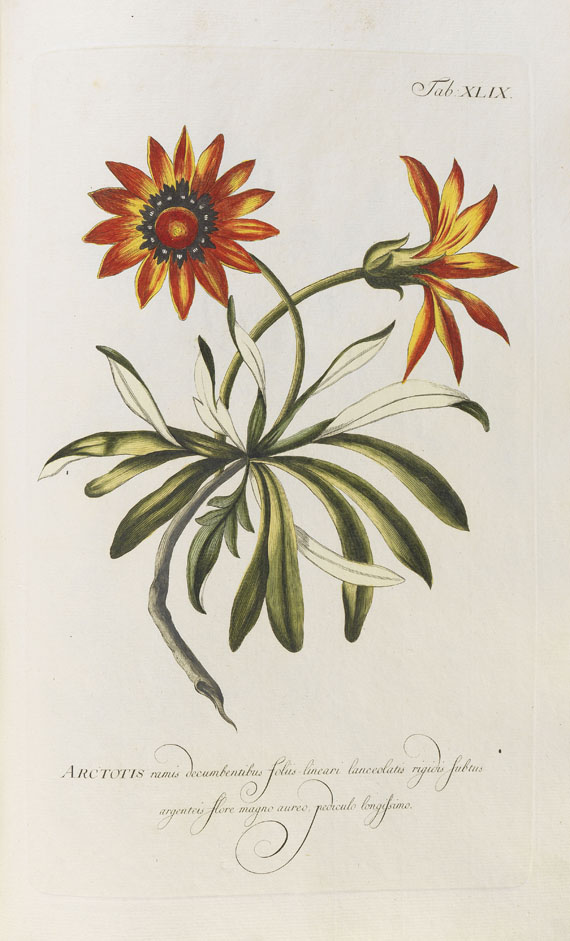 Philipp Miller - Abbildungen zum Gärtnerlexicon. 1768-82. 2 Bde. - Altre immagini