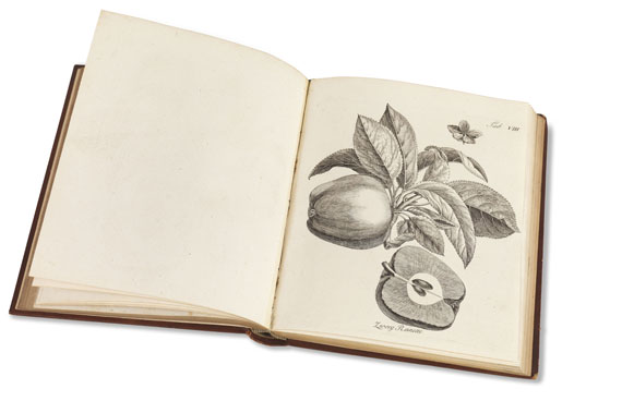 Henri Louis Duhamel du Monceau - Abhandlung von den Obstbäumen. 1775-83. 3 Bde. - Altre immagini