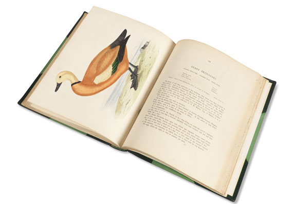B. R. Morris - British game birds and wildfowl. EA 1855. - Altre immagini