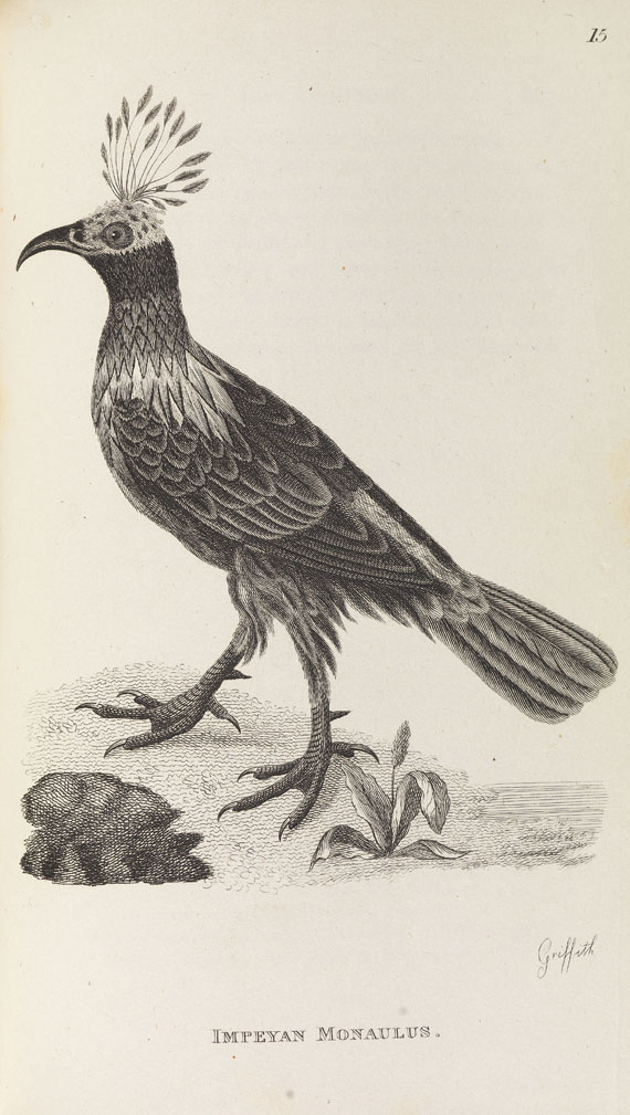 George Shaw - General zoology. 1800-26. 28 Bde.- Dabei: Zoological lectures. 1809. 2 Bde. - Altre immagini