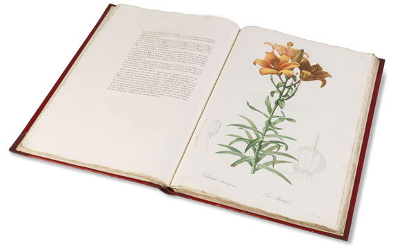 Pierre Joseph Redouté - Liliacées. 8 Bde. 1802-16. - Altre immagini