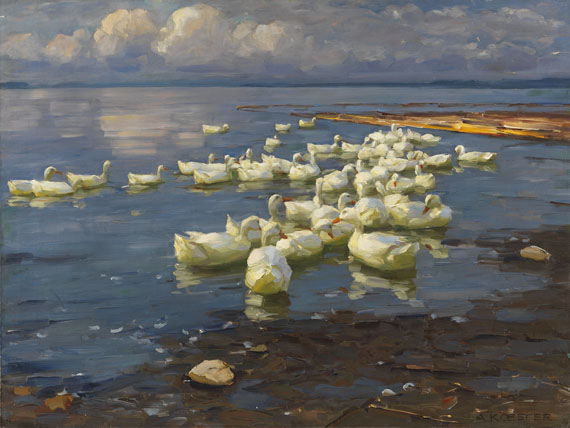 Alexander Koester - Enten im See