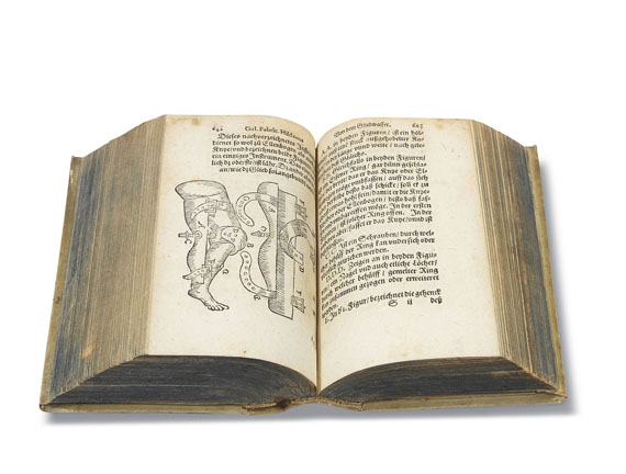 Wilhelm Fabricius Hildanus - Medizin. Sammelband. 1615 - Altre immagini